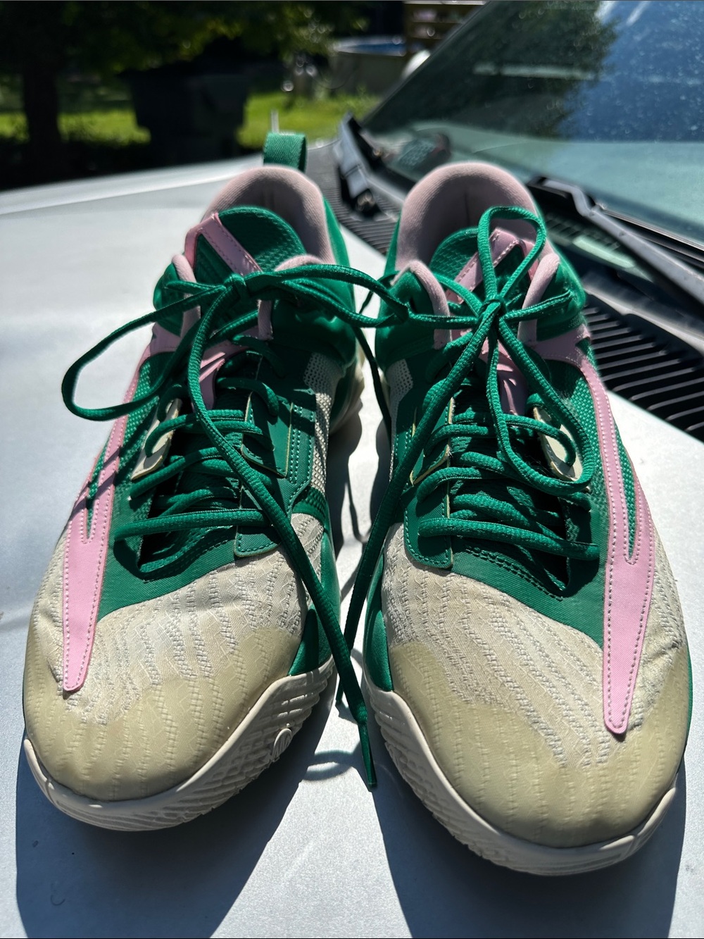 Nike Green and Pink Men’s Running Sneakers